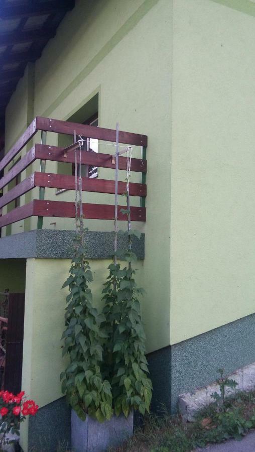 Apartma Juha - Breg pri Borovnici Buitenkant foto