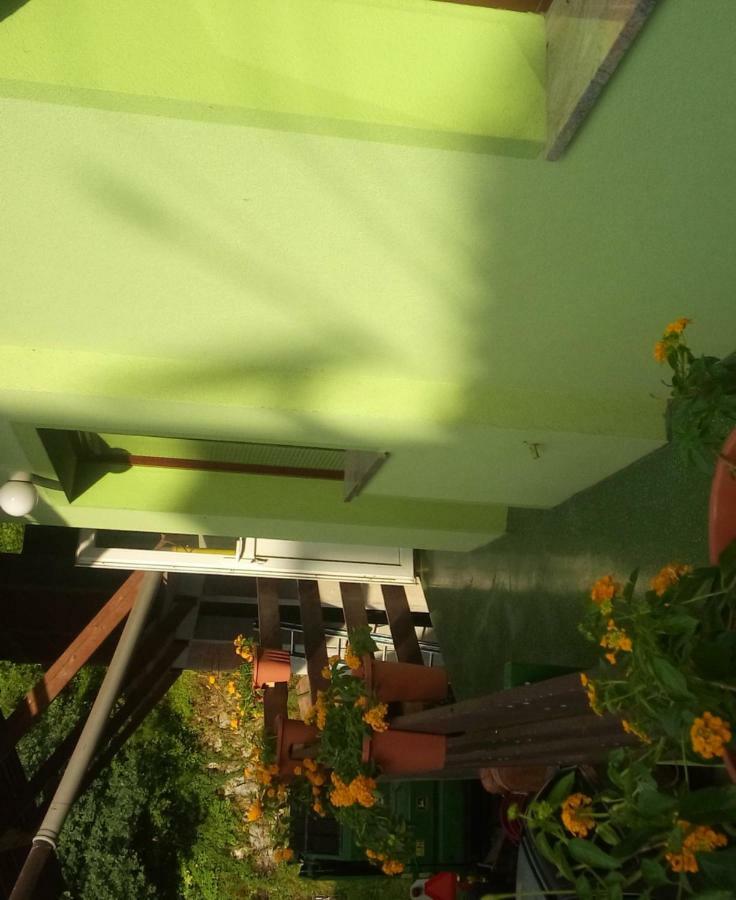 Apartma Juha - Breg pri Borovnici Buitenkant foto