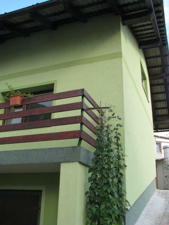 Apartma Juha - Breg pri Borovnici Buitenkant foto